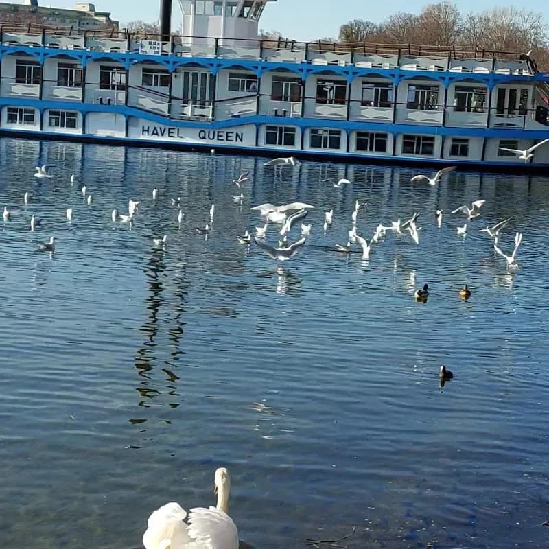 View of Beachvolleyballplatz Freizeitpark Tegel an der Malche in Tegel, BE