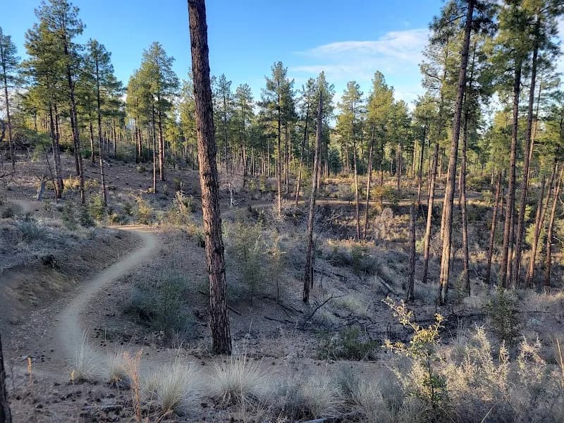 Bean Peak Mountain Bike Gravity Flow Trails park in Prescott, AZ