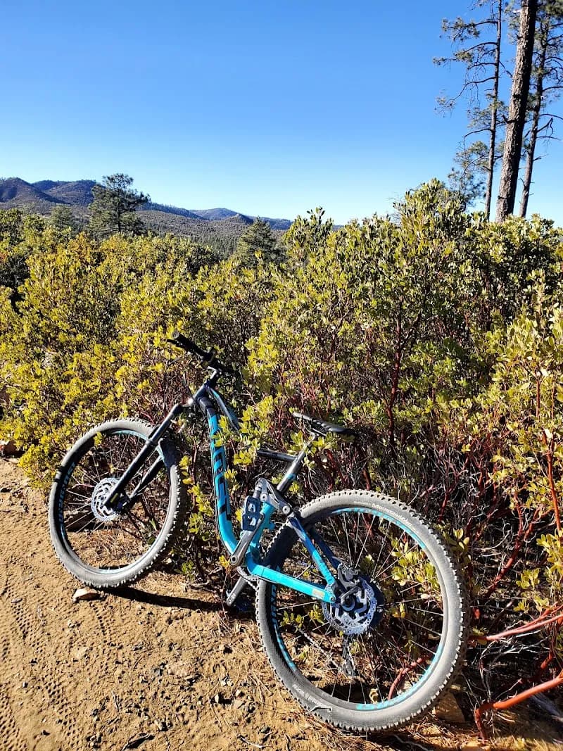 View of Bean Peak Mountain Bike Gravity Flow Trails in Prescott, AZ