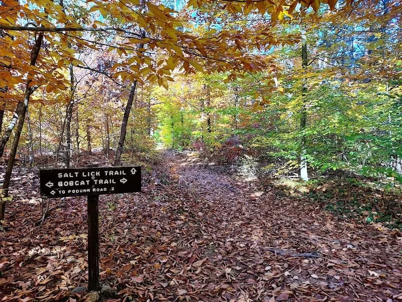 View of Bear Brook State Park in Weare, NH