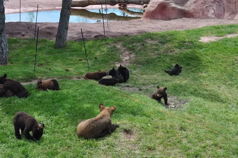 View of Bear Country USA in Rapid City, SD