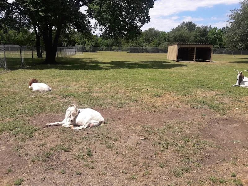 View of Bear Creek Pioneers Park in Memorial, TX