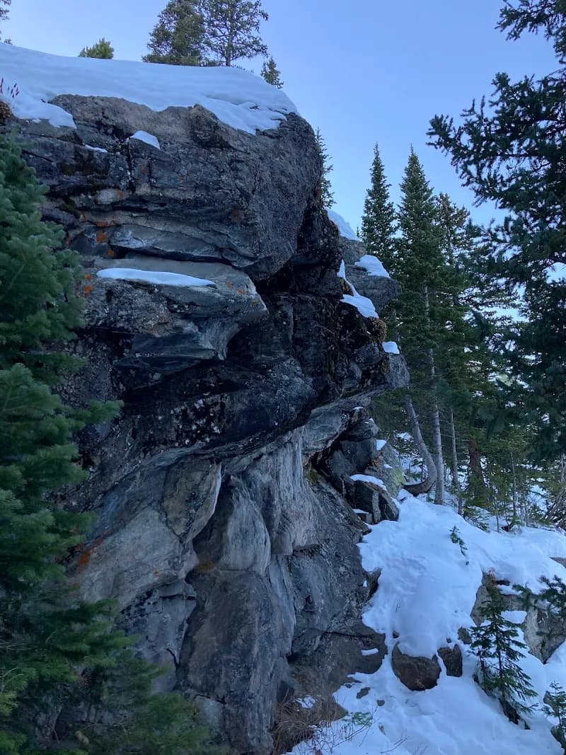 View of Bear Lake Trail in Estes Park, CO