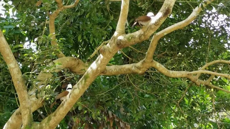 View of Beauty World Centre in Bukit Timah, SG