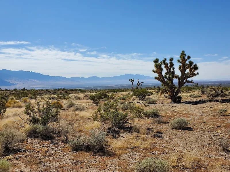 Beaver Dam Wash National Conservation Area nature preserve in Mesquite, NV