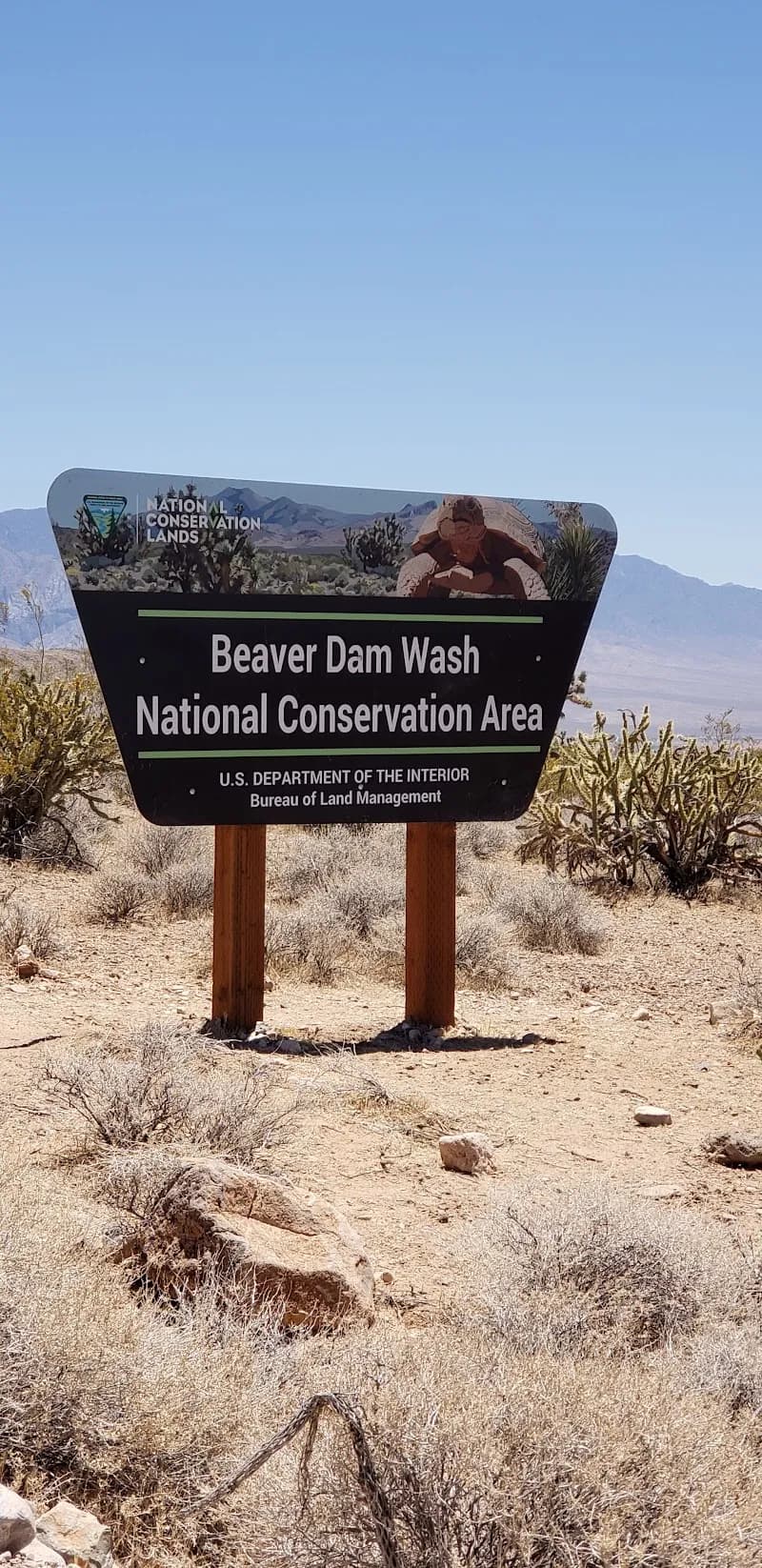 View of Beaver Dam Wash National Conservation Area in Mesquite, NV