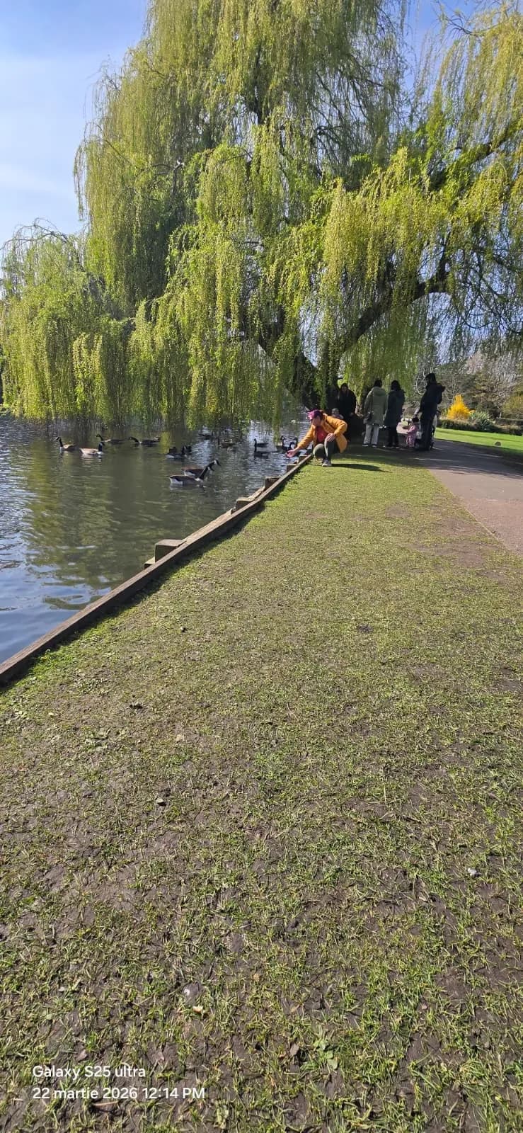 View of Beddington Park in Sutton, London