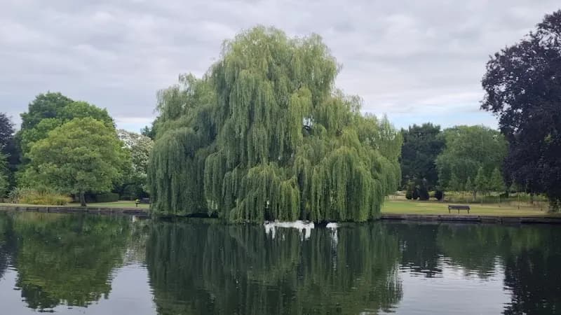 View of Beddington Park in Sutton, London