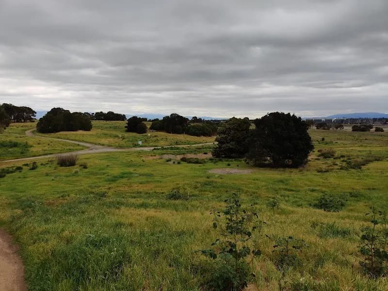 View of Bedwell Bayfront Park in Menlo Park, CA