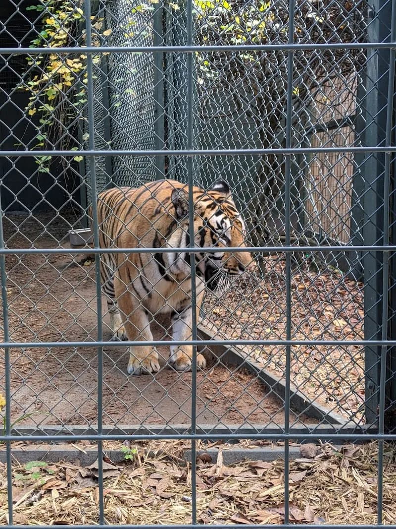 Bee City Zoo & Honey Bee Farm zoo in Charleston, SC