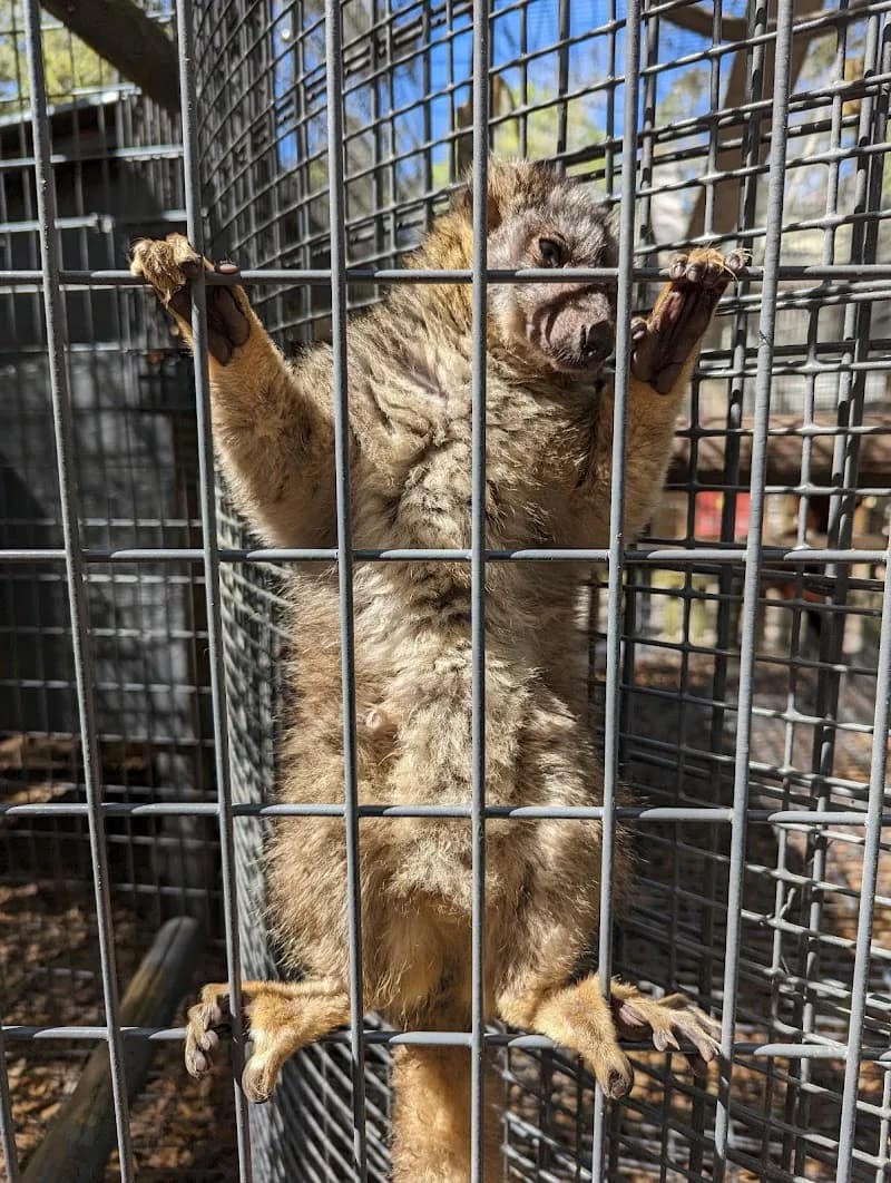 View of Bee City Zoo & Honey Bee Farm in Charleston, SC