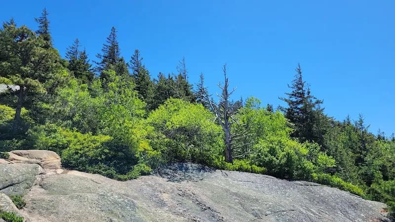 View of Beech Mountain Trail in Bar Harbor, ME