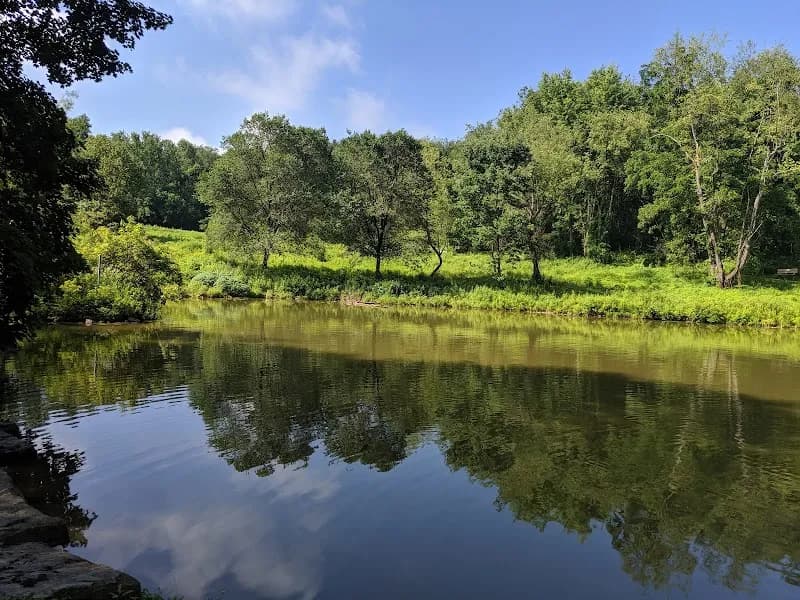 View of Beechwood Farms Nature Reserve in Fox Chapel, PA