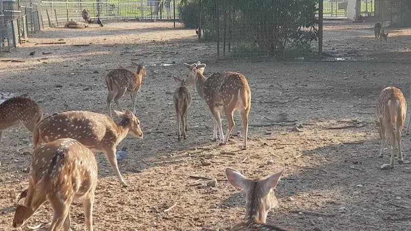 View of Begin Park Petting Zoo in Tel Aviv, TA