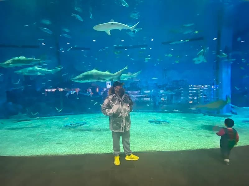 View of Beijing Aquarium in Beijing, BJ