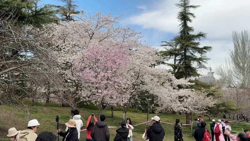 View of Beijing Yuyuantan Park in Beijing, BJ