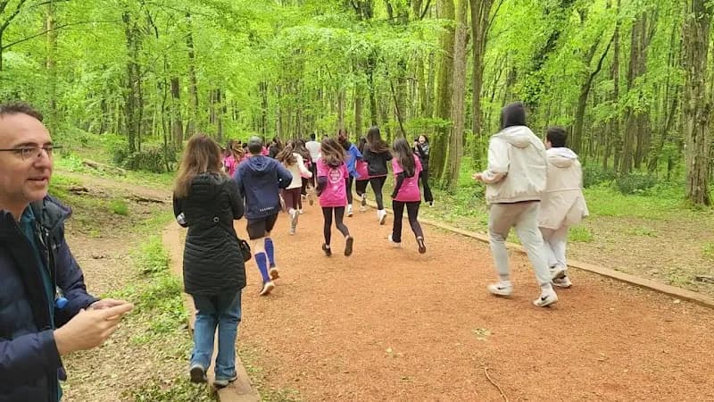 View of Belgrad ormanı in Beykoz, Istanbul
