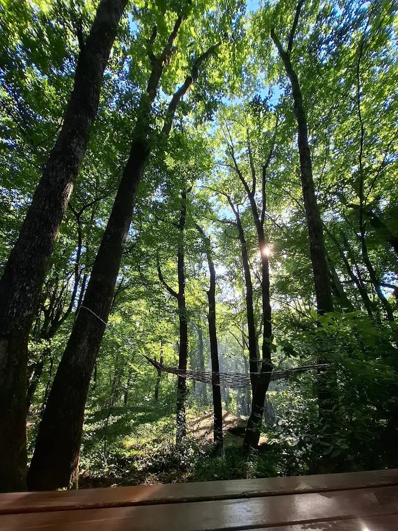 View of Belgrad ormanı in Beykoz, Istanbul