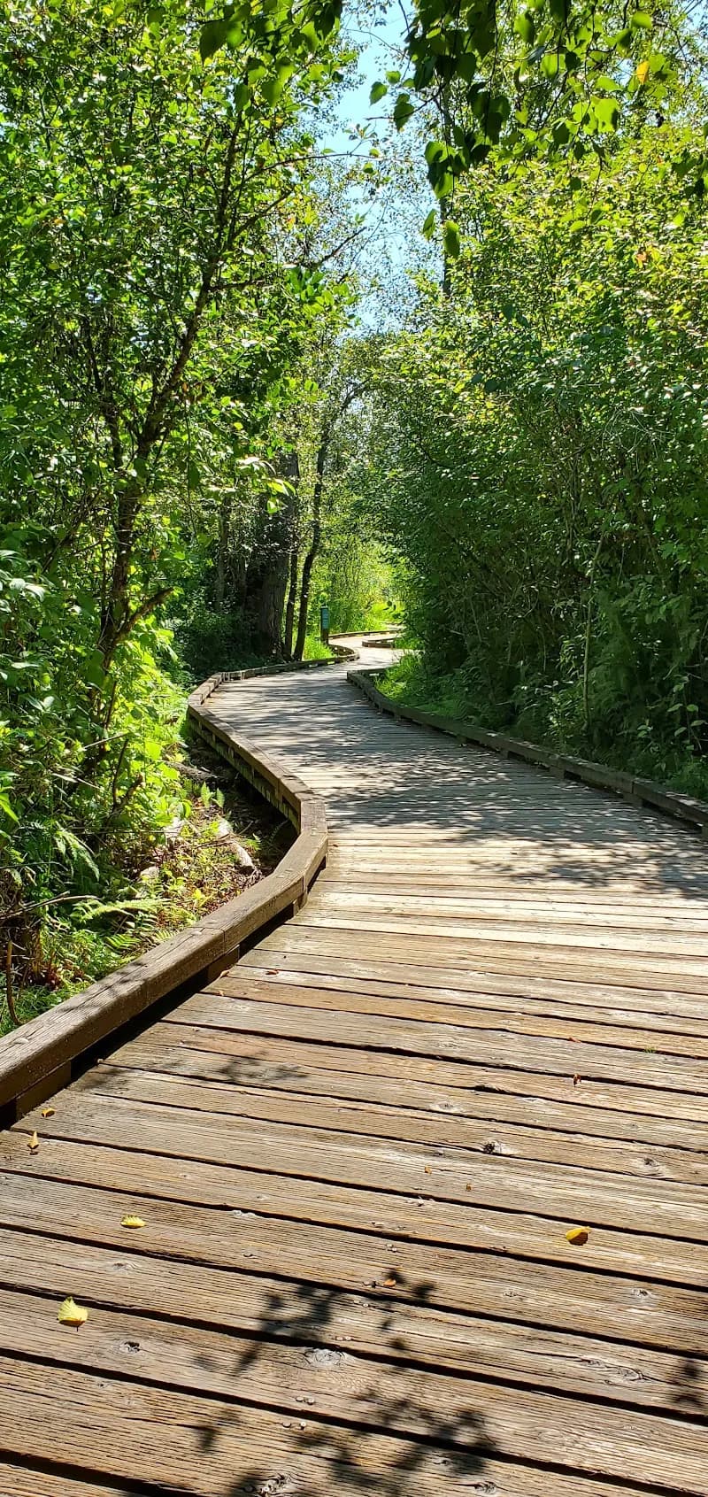 Bellefields Trailhead Parking hiking area in Redmond, WA