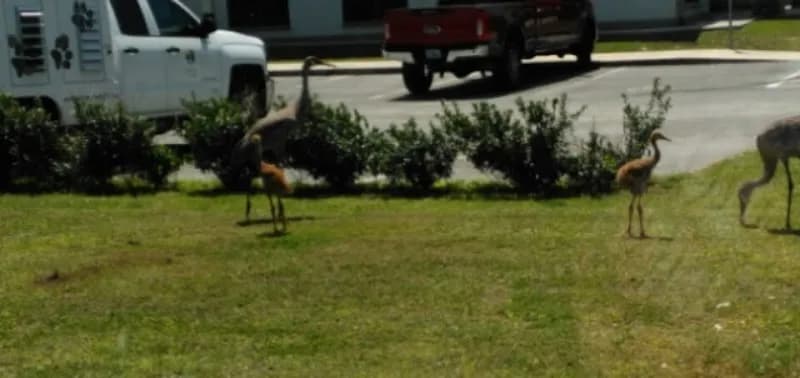 Belleview Woods Hiking Trail hiking area in Bellview, FL