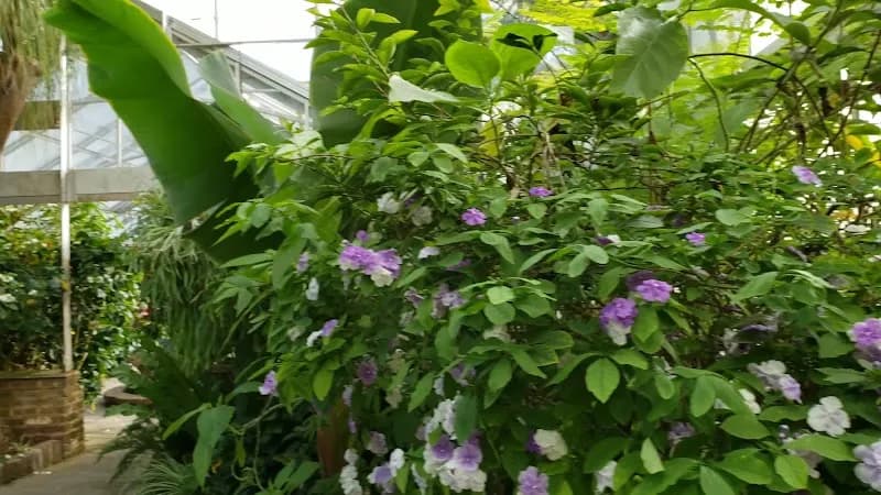 View of Bellingrath Gardens & Home in Chatom, AL