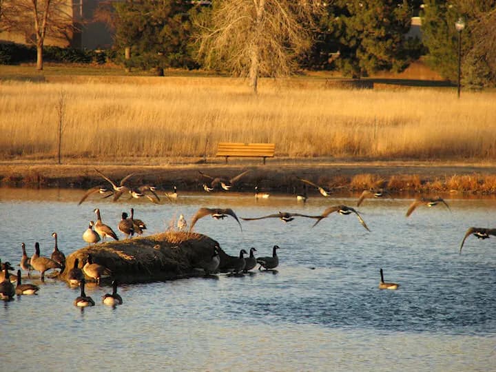 View of Belmar Park in Lakewood, CO