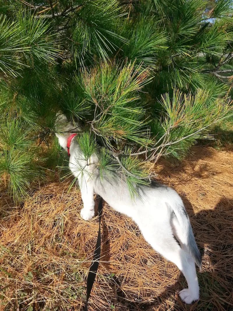 View of Belton Parks & Recreation in Belton, MO