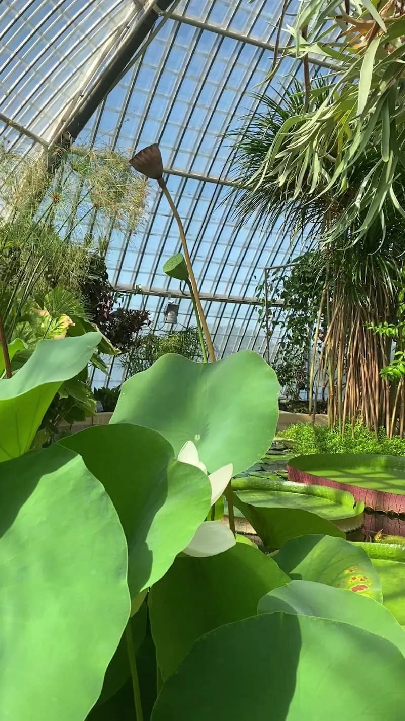 View of Bergianska trädgården in Solna, Stockholm