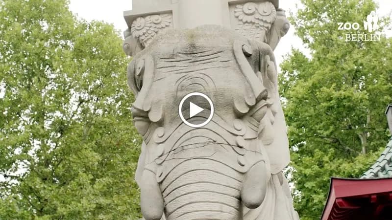 View of Berlin Zoological Garden in Berlin, BE