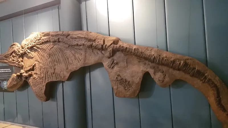 View of Bernardino Rivadavia Museum of Natural Science in Buenos Aires, BA