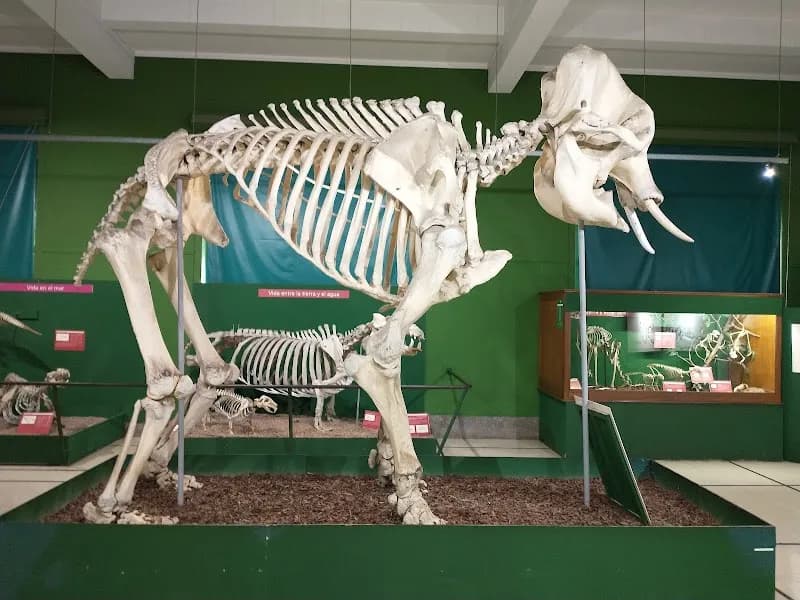 View of Bernardino Rivadavia Museum of Natural Science in Buenos Aires, BA