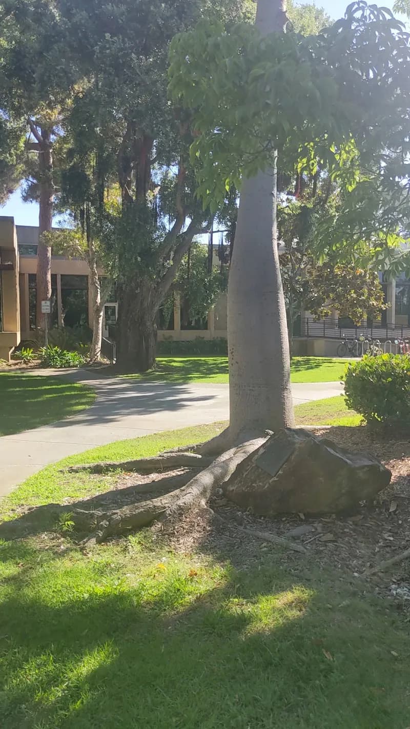 View of Biblioteca Coronado in Coronado, SJ