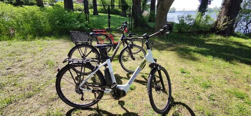 View of Bicycle Rental Ernest Scheffler "home of bikes" in Bad Saarow, BB