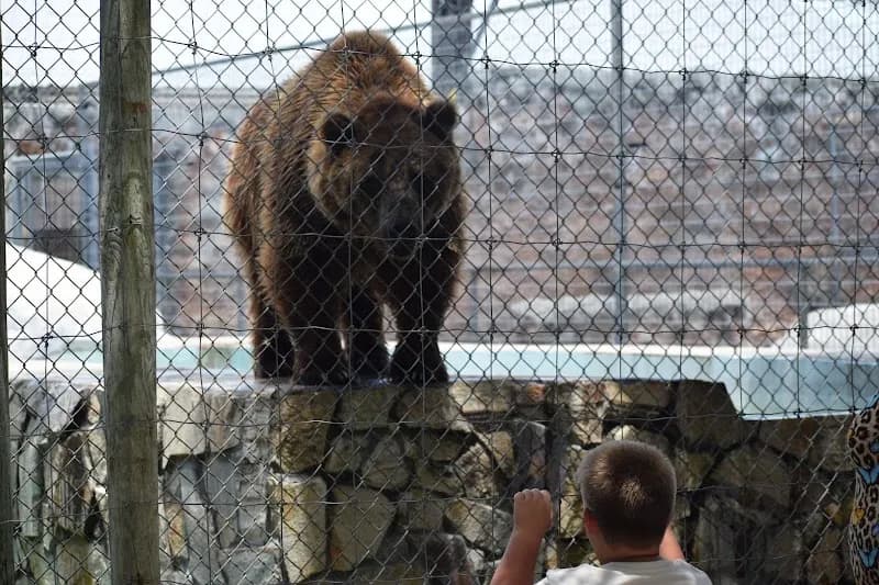 View of Big Cat Habitat in Sarasota, FL