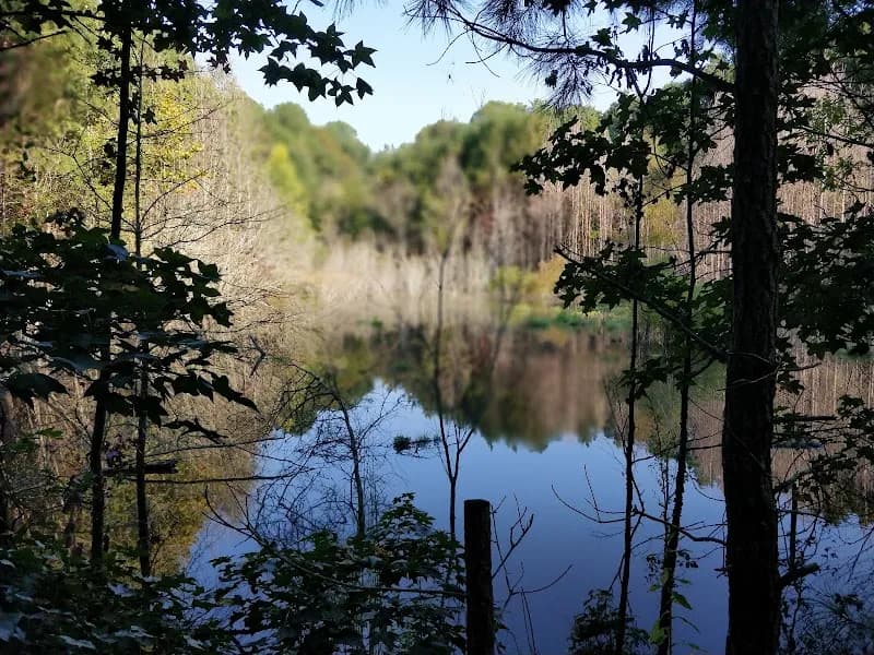 View of Big Creek Greenway in Roswell, GA