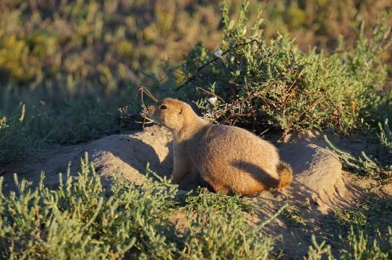 View of Big Dry Creek Trailhead and Parking in Thornton, CO