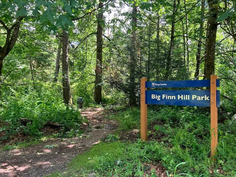 View of Big Finn Hill Park in Sammamish, WA