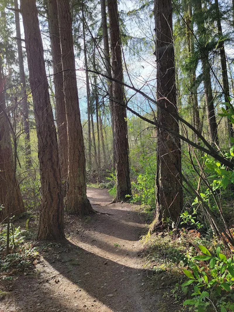 View of Big Finn Hill Park in Sammamish, WA