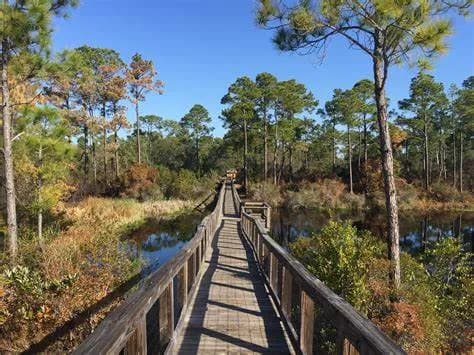 View of Big Lagoon State Park in Pensacola, FL