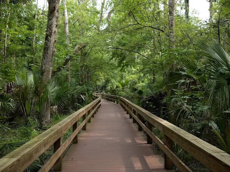 View of Big Tree Park - Cross Seminole Trailhead in Longwood, FL