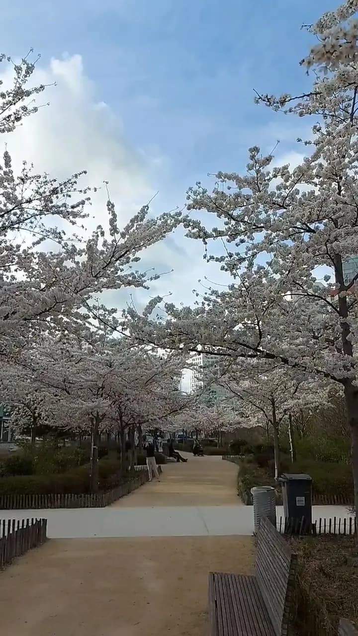 View of Billancourt Park in Boulogne-Billancourt, IDF