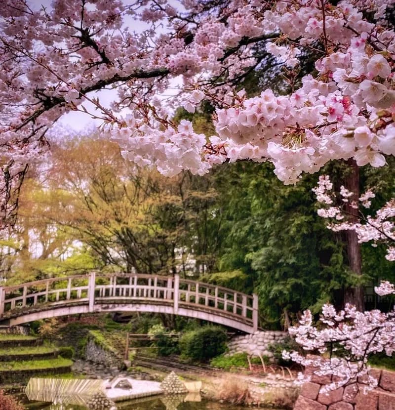 View of Billancourt Park in Boulogne-Billancourt, IDF