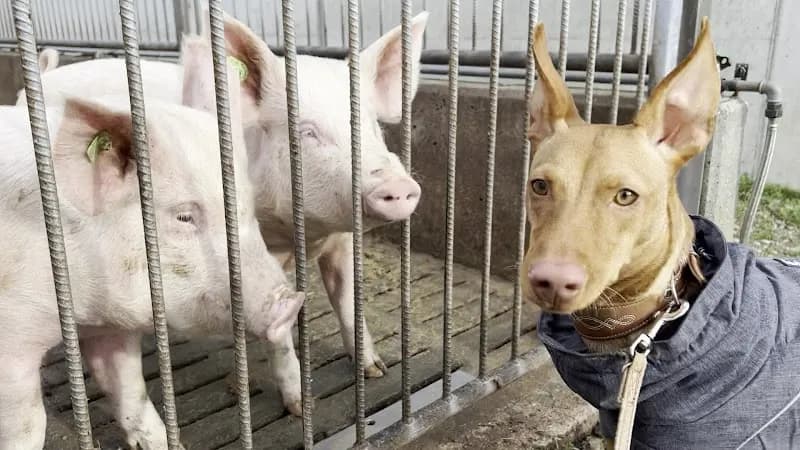 View of Bio Waidhof in Seebach, ZH