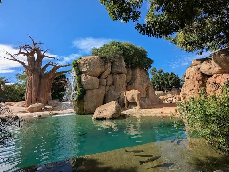 Bioparc Valencia zoo in Valencia, VC