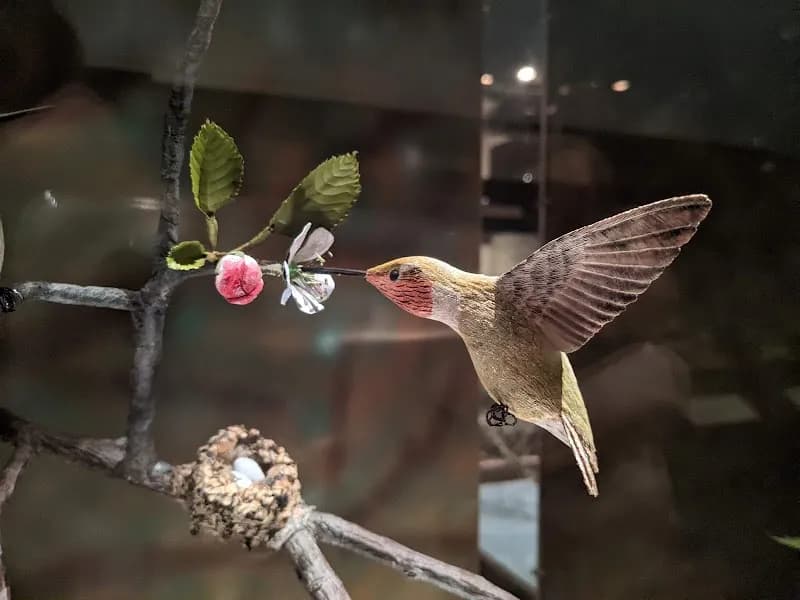 View of Birds of Vermont Museum in Burlington, VT