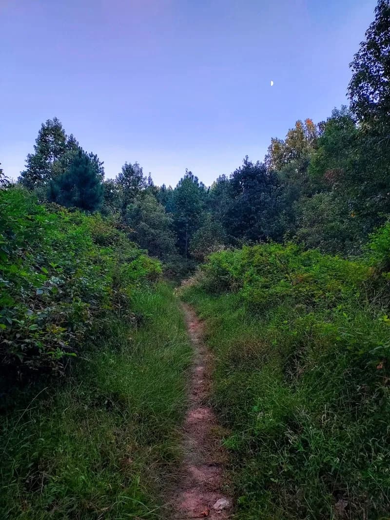 View of Birmingham Park in Milton, GA