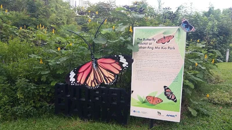 View of Bishan-Ang Mo Kio Park Playground in Bishan, SG