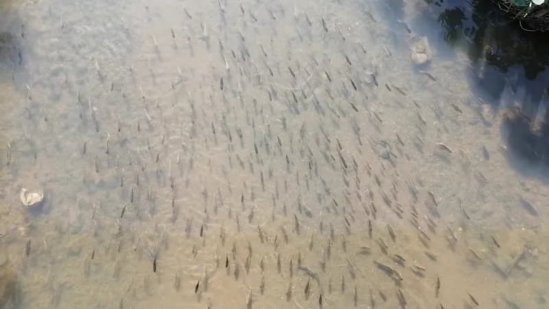 View of Bishan-Ang Mo Kio Park Playground in Bishan, SG