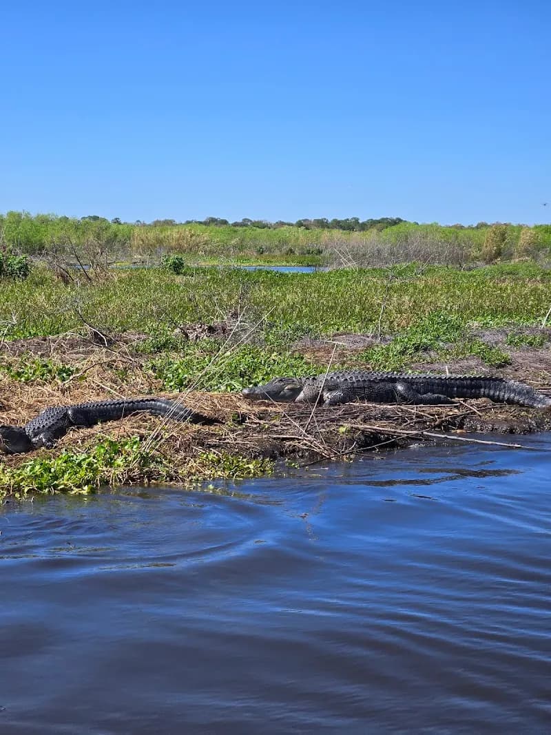 View of Black Hammock Orlando Airboat Rides in Oviedo, FL