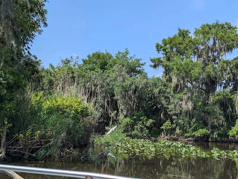 View of Black Hammock Orlando Airboat Rides in Oviedo, FL